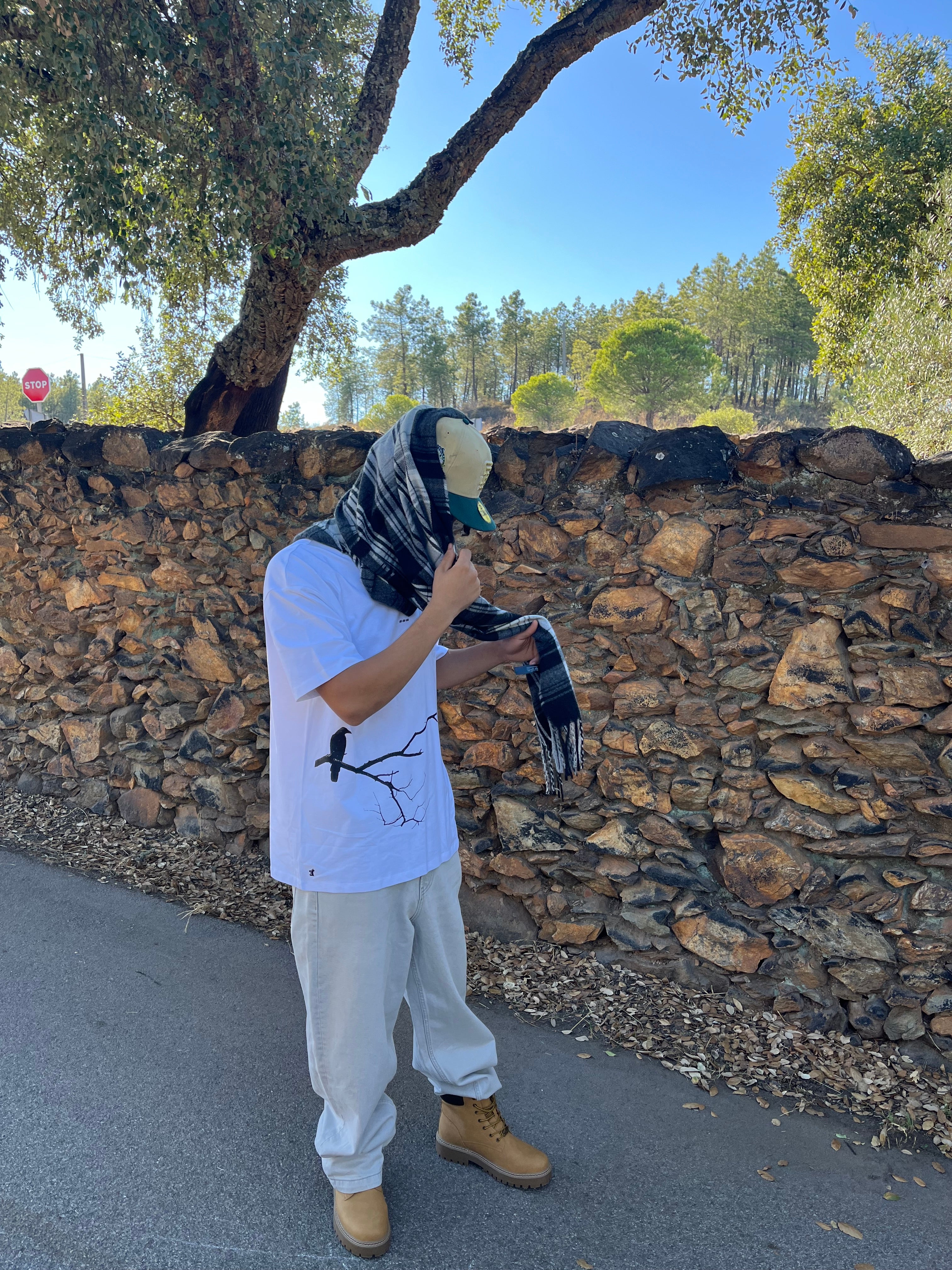 Camiseta Oversize Shadows of a Crow