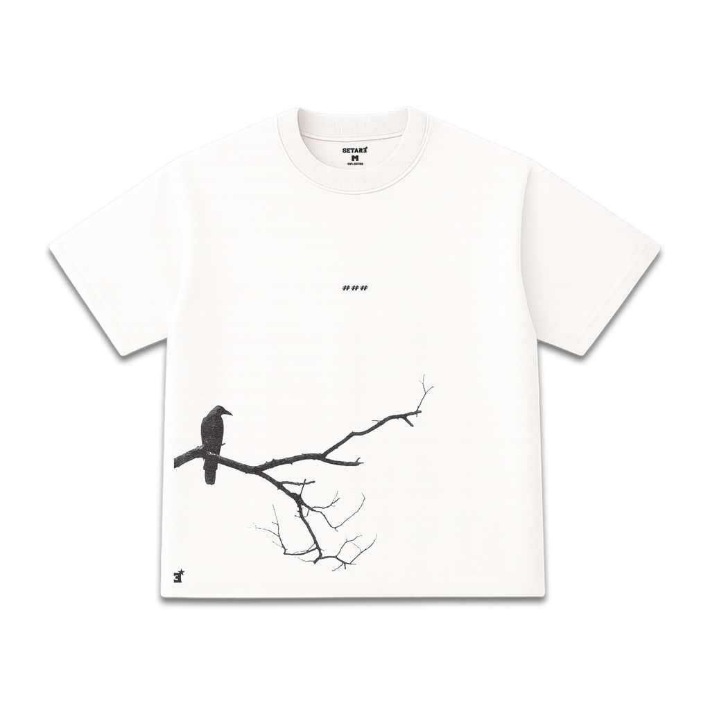 Camiseta Oversize Shadows of a Crow