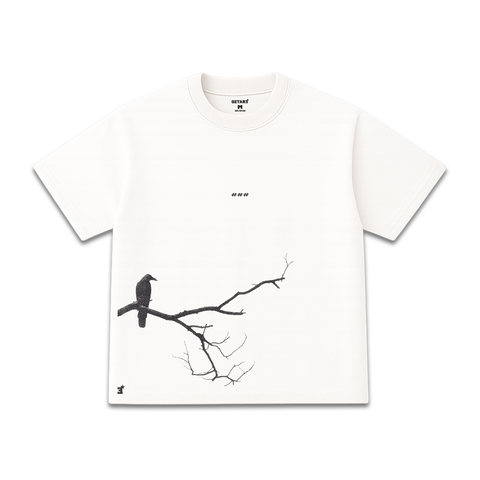 Camiseta Oversize Shadows of a Crow